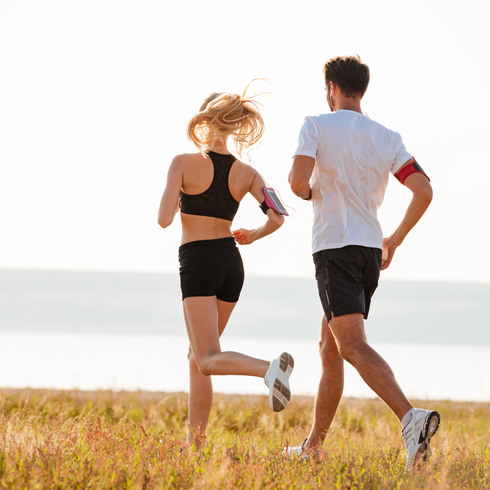 Fitness and Wellness